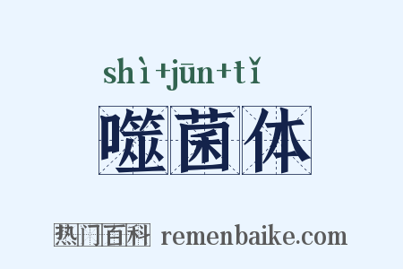 噬菌体是什么意思的图片